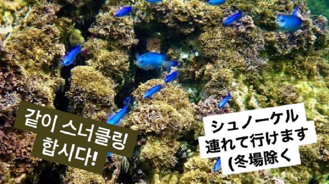 플라주 유이가하마 호텔 카마쿠라 외부 사진